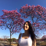 Nathália Elisa Araújo Camlilo