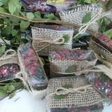 Lidiane Alves dos Santos