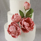 Belle Ivresse | Flores