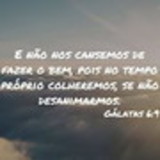Malu Pinheiro