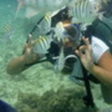 Luciana Leite Pedro Rodrigues