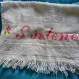 excluido_sirlene Fernandes barbosa  vicente