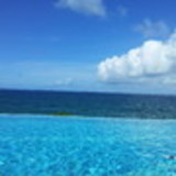 Silvia Midori Shida Capello