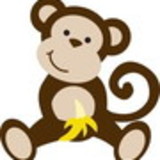 Evelaine Ciribelli Marques Dos Santos