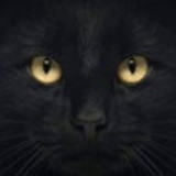 Lourdes Pereira Duarte  Pagno