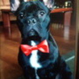 MARIANA MACHADO GUIMARAES