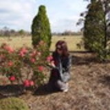 Sandro Klen Stephen de Azeredo