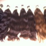 MARIA CLARA SILVA ARGON