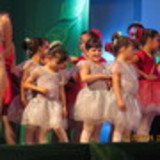 Rosane da Silva Azevedo Rocha