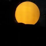 Bruno Guedes Fonseca