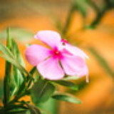 Edy Klévia Fraga de Souza