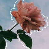 Claudia  Maria Mendes da Silva