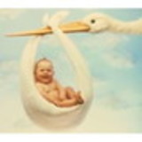 Rejaneemasterson Péterle Daré