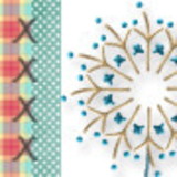 Erika da Silva Henrique Rodrigues