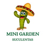 mini garden suculentas