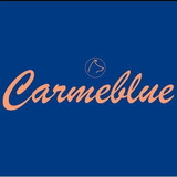 Carmeblue Bolsas