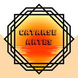 Catarse Artes