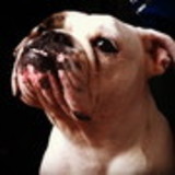 Roney da Silva Dutra