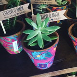 Fabianne Felitte Favaretto