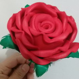 Sandra Carolina Galacio dos Santos