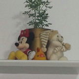 Fernanda Santos Nunes Franco