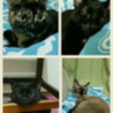 Mylian Tsukasa Sugawara