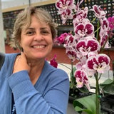 Vera Márcia de Assis Bretas