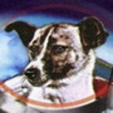 Georgia Martins Faust