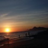 desiree tavares barreto