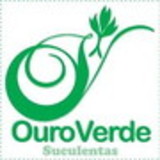 Ouro Verde Suculentas