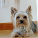 Joseane Fernandes Braga Gualberto