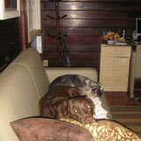 Hortensia Maria Fleury Salek