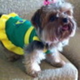 Maria Carmen Caprara Costamilan