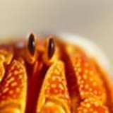 Jair Douglas Lopes Soares