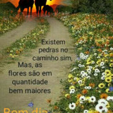 DANIELLI SANTOS LOPES DE ARAUJO