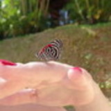 Daniely Daniel Franco