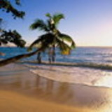 Fernando Keiji Yoshino