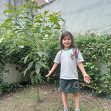 manuela fontenele dos anjos