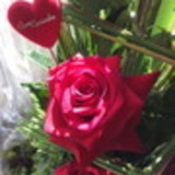 Marisa Mendes Steger Matos