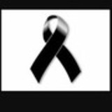 daiane wiecorek borges laurini