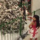 VANESSA DO NASCIMENTO AMORIM