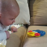 Fabíola Pereira Espindola