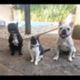 Thayana Kendrik Lourenço