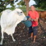 antonio ALVES GUIMARAES