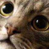 Raquel Maria da Silva Lourenco