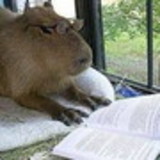 Ivana Corrêa Marchel da Silva