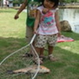 Claudia Shibukawa Harano