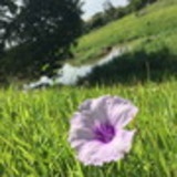 Jessica da Silva Miranda