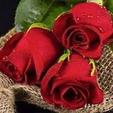 EDILANE DE SOUZA ARAUJO