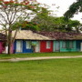 luciana carvalho coelho